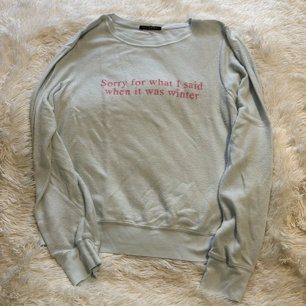 Wildfox blue “Sorry for what I said when it was winter” sweatshirt top M - Picture 2 of 9